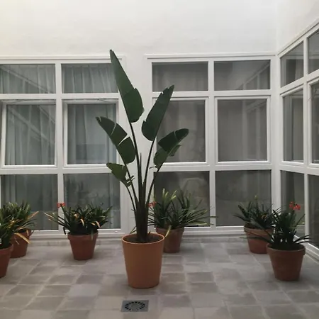 Loft Xerez Centro Jerez de la Frontera