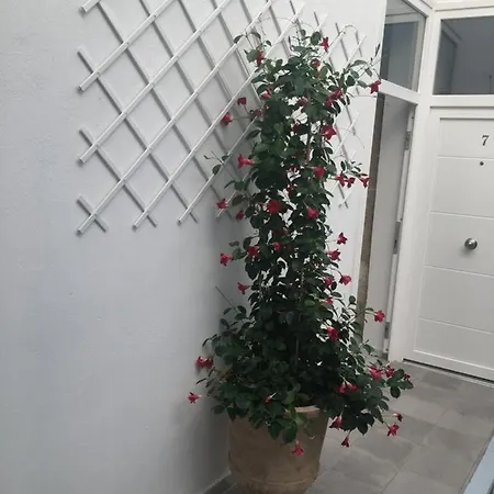 Daire Loft Xerez Centro